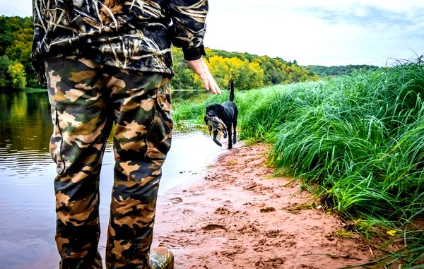 ### Знакомство с дикой природой